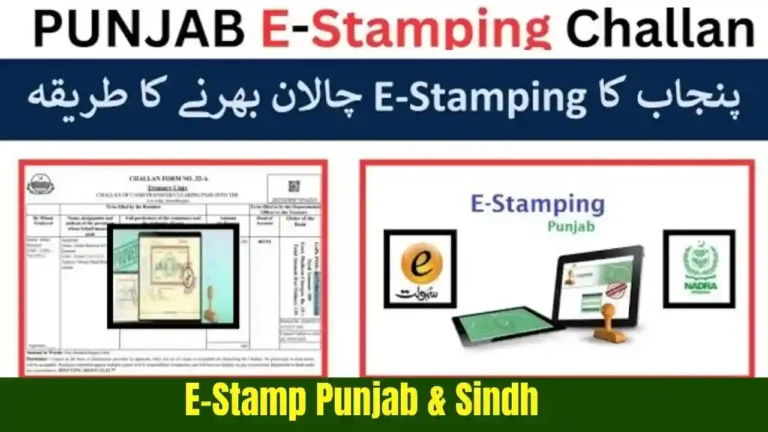Punjab e-Stamp Pape