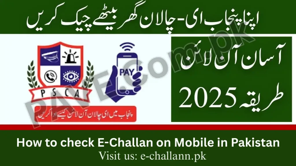 Check E-Challan on Mobile in Pakistan